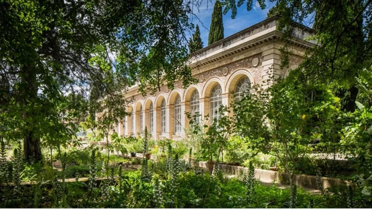 Place De La Comedie - Magnifique T2 Au Calme Montpellier Exteriér fotografie